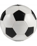Palla da calcio in PVC